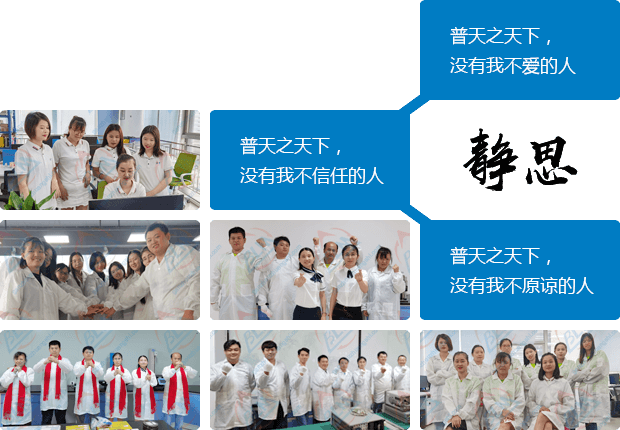樱花草在线观看视频www人的静思语