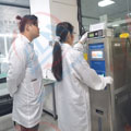 严格把控樱花草在线社区www韩国精度图片