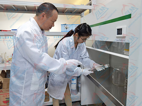 化学樱花草在线社区www日本视频图片