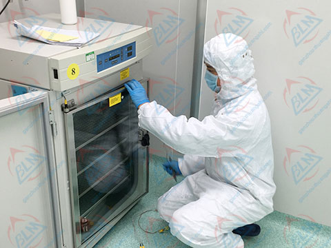 化学樱花草在线社区www日本视频图片